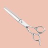 Brand: Aolanduo Professional Recommended Scissor for Beauty Students, Good Combing