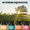 Beyond Vitamins | Cúrcuma + Jengibre potenciado con Pimienta Negra