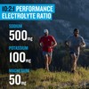 PROTEKT Electrolyte Packets for Recovery & Hydration | Organic &