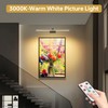 23.6 Inch Picture Light for Wall, 2 Pack 6400mAh Rechargeable