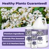 Crepe Myrtle Fertilizer, Complete Liquid Crepe Myrtle Tree Plant Food,