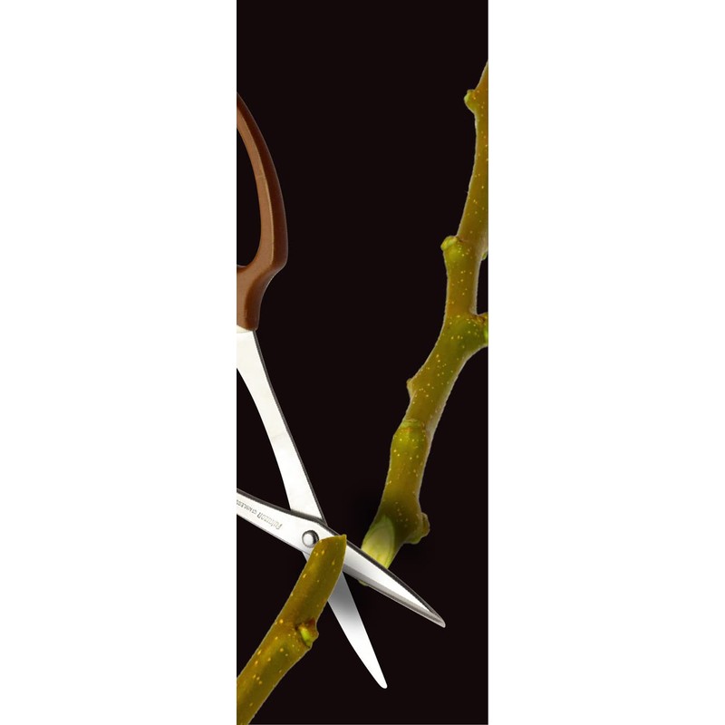 TAKAGI Stainless Steel Long Reach Bud Cutting Shears with Main