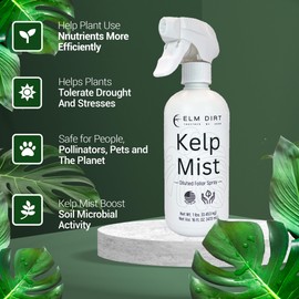 Elm Dirt Kelp Mist 100% Organic Plant Spray - Foliar Spray for Plants Food Indoor House Plants & Outdoor Plant Food | Help Plant Nutrients Efficiently & Boost Soil Activity - Kelp Foliar Mist (16 oz)