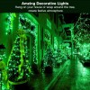BrizLabs Green String Lights, 17.94ft 50 LED Christmas Lights, 8