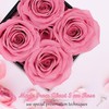 MestectPET Rose Box with 4 Infinity Roses, Pink Eternal Rose