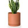 D'vine Dev Small 6 Inch Terracotta Plant Pot with Drainage