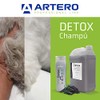 Artero Detox Bath 9 Oz.