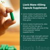 Ved Lion’s Mane Supplement 450mg, Lion's Mane Mushroom 15:1 Extract