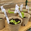 Dalzom® 60Pcs 3.1” Peat Pots with 60Pcs Plant Labels, Biodegradable