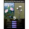 Brightown Outdoor Solar Garden Lights - 4 Pack LED Flower