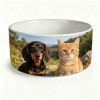 Porcelain Pet Vessel Bowl Ceramic Dog Dish 15cm 18cm Sturdy