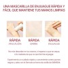 Barra De Arcilla Rápida Para Servir Centella De Madagascar