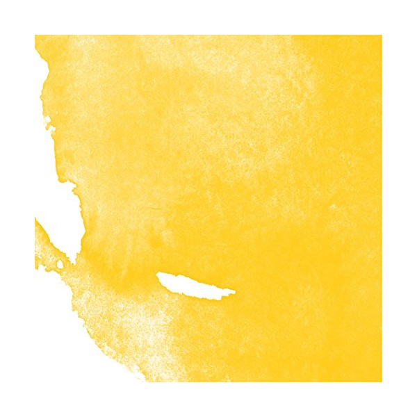 Daler-Rowney System3 Ink 29.5ml - Cadmium Yellow Hue