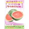 &WELL アクティブビーツ ビーツ ギューッと凝縮 シトルリン 配合 タブレット 186粒 (3)