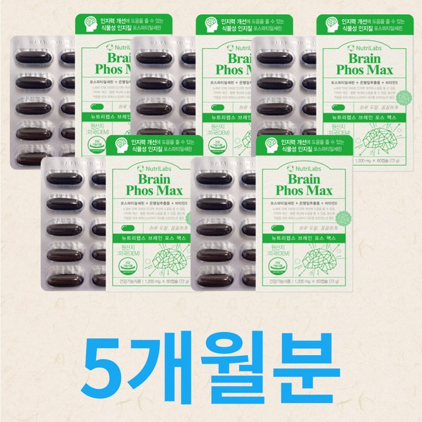 [On Sale] Filial piety gift for parents Memory improvement nutritional supplement Ginkgo Vitamin E / [온세일]효도선물 부모님 기억력개선영양제 징코 비타민E