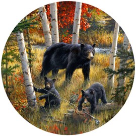 Andreas Silicone TR-HB3173 Bears & Birches Non-Slip 8" Trivet/Pot Holder/Hot Pad, 100% Cotton, Dishwasher Safe, Hot Dishes, Protect Hair Iron, Safe up to 600°F