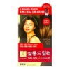 Elastine Salon de Color Hair Dye Orange Brown No. 8 1P -O / 엘라스틴 살롱드컬러 염색약 오렌지브라운 8호 1P -O