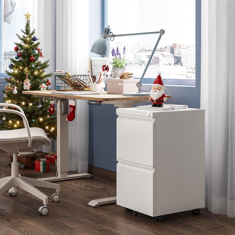 DEVAISE 2 Drawer Mobile File Cabinet with Lock, Commercial Vertical