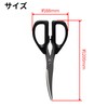 Takagi Kitchen Scissors with Floating Edge in Japan