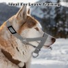 Dog Head Collar, Gentle Harness Walks with Reflective Strap to