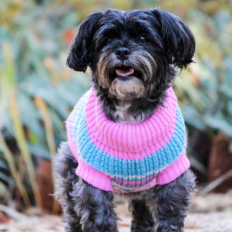 Huskimo Ski Lodge Dog Jumper, Pink, 46cm