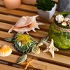 GALLERIE II 4" Small Sea Turtle Resin Decorative Tabletop Beach