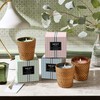 NEST New York Himalayan Salt & Rosewater Scented Classic Candle,