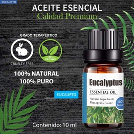 Aceites Esenciales de Eucalipto Aromaterapia - Natural 100% de Aceite Esencial Natural Conjunto de Difusores y Humidificadores con Caja de Regalo Exquisita (UVa Natural, 10 ML) (Eucalipto)