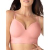 SHAPERMINT Bra - Wireless Bras for Women No Underwire -