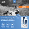 ICF | Ermidra Dog Shampoo For Itchy Skin Relief |