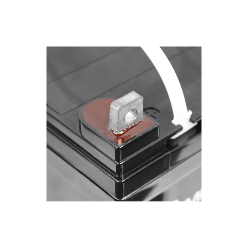 Mighty Max 12V 35AH SLA Battery for GOAL ZERO YETI