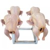 Rite Farm Products 3 Pack of 12" Chicken Drying Rack