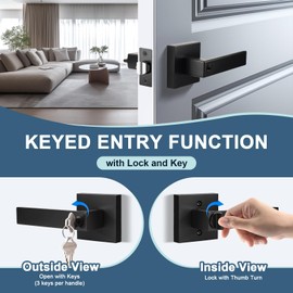 KNOBWELL 3 Pack Keyed Entry Door Handles, Matte Black Door Knobs with Lock and Key Satin Door Lockset for Gate/Garage/Front Doors (Same Key)