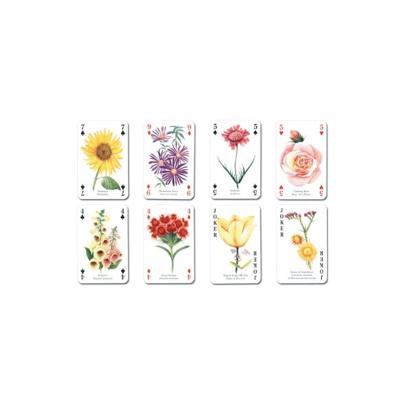 P0039 Trump Cottage Garden [Small Flowers in the English Countryside]