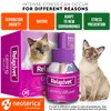 Cat Calming Diffuser & Pet Anti Anxiety Products - Feline