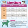 Jecikelon - Suéter para perro, Suéter largo con cuello alto,