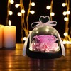 Preserved Pink Real Rose with LED Light eternal flowers rose