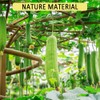 Esponja de Luffa 8 unidades de esponja natural de pepino