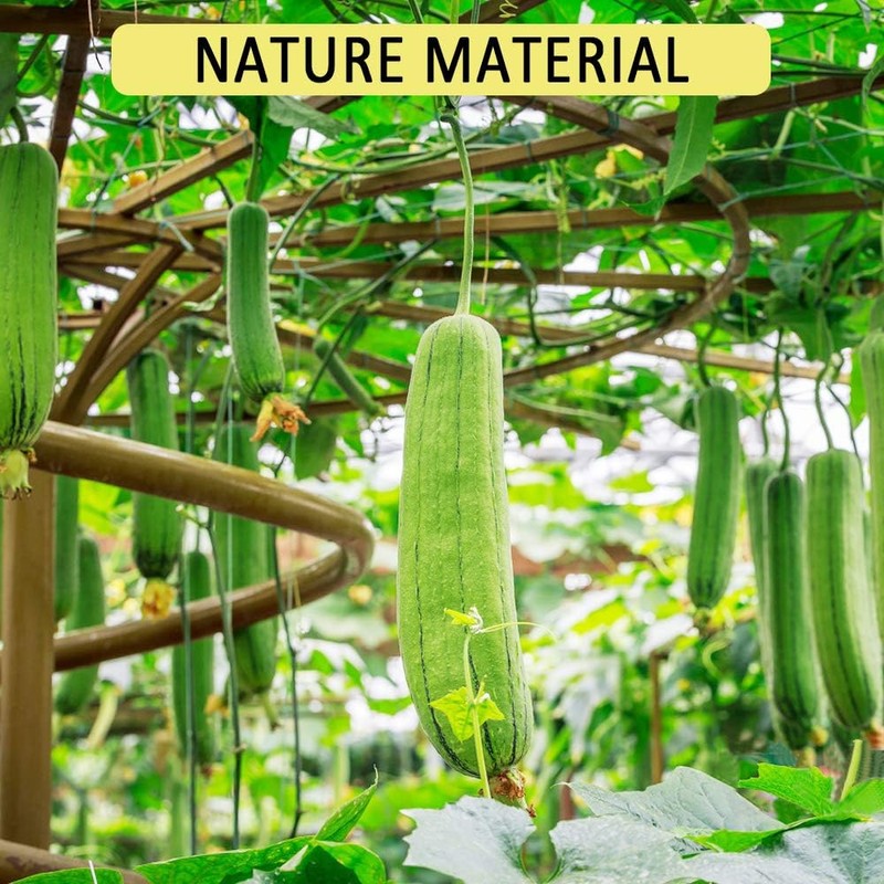 Esponja de Luffa 8 unidades de esponja natural de pepino