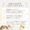 Rabbit Brush Rabbit Comb Comb Rabbit Brushing Toy Rabbit Guinea