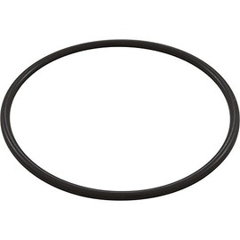 Waterway Plastics 806105129826 6" Trap Lid O-Ring