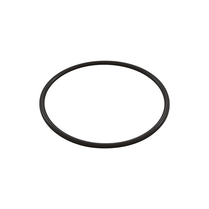 Waterway Plastics 806105129826 6" Trap Lid O-Ring