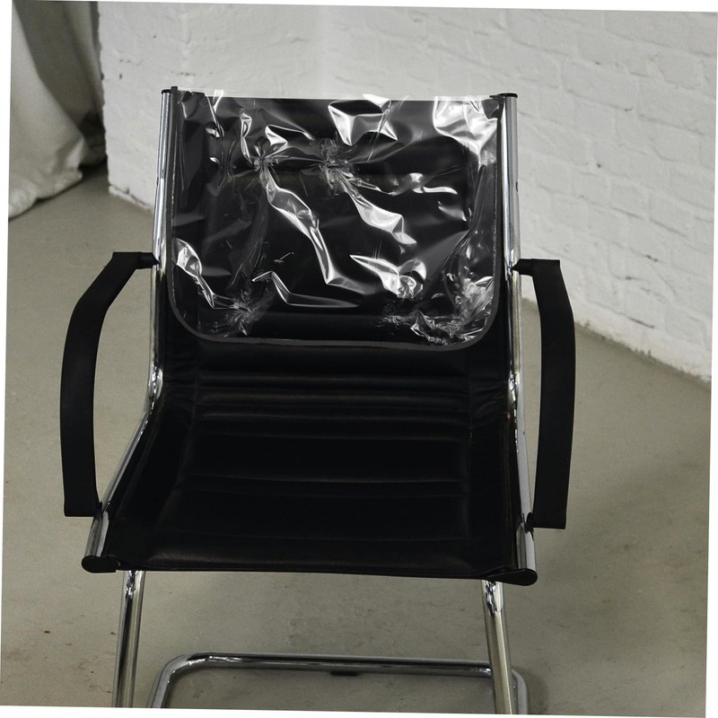 ORFOFE 2pcs Transparent Salon Chair Covers with Reinforced Black Border