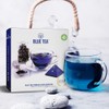 BLUE TEA - Indian Chai Masala - 12 Count -