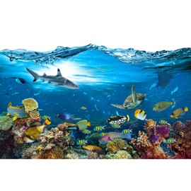 Ocean Aquarium Background Underwater Tropical Fish Coral Reef Terrarium Background Under The Sea World Theme Fish Tank Background Turtle Shark Blue Sea Fish Tank Backdrop Coral Tank Decors 24x12in