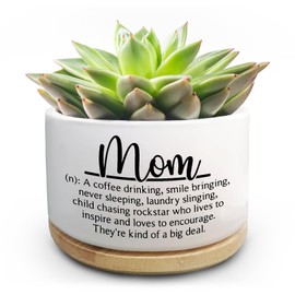 Jutasty Mom Gifts from Daughter Son, Succulent Plant Pots for Mom Birthday, Flower Planter Gifts for Mother, The Best Mom Gifts, First Time Mom New Mom Gifts for Women Mama, Momma Gifts (No Plants)