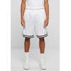 Karl Kani Men's Signature Mesh Shorts, white / black, XXL