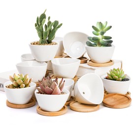 Foraineam 12 Pack Mini Succulent Planter Pots, Small Ceramic Cactus Planters White Plant Flower Pots with Bamboo Tray for Herbs, Seeds, Beans, Cacti, Succulents