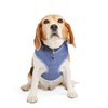EveryYay Heather Pullover Dog Harness, Purple, Large