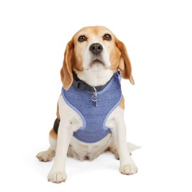 EveryYay Heather Pullover Dog Harness, Purple, Large